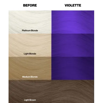 צבע שיער ויולט Violette